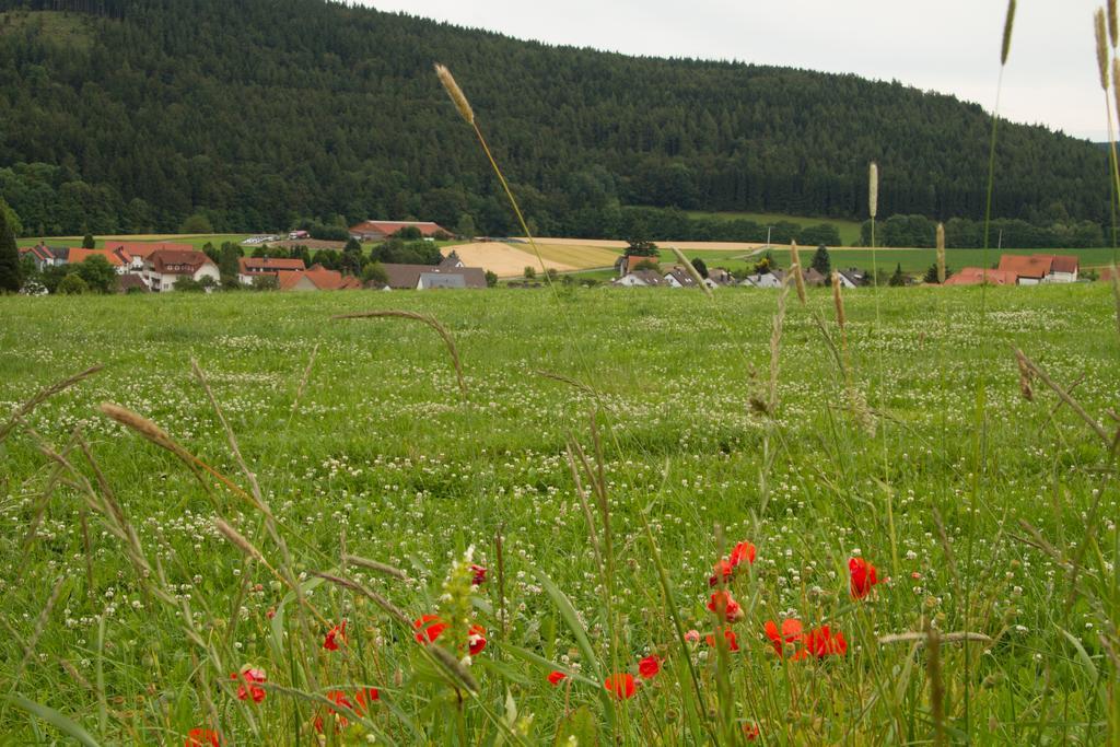 Fewo Alte Schule Willingen  Exterior foto