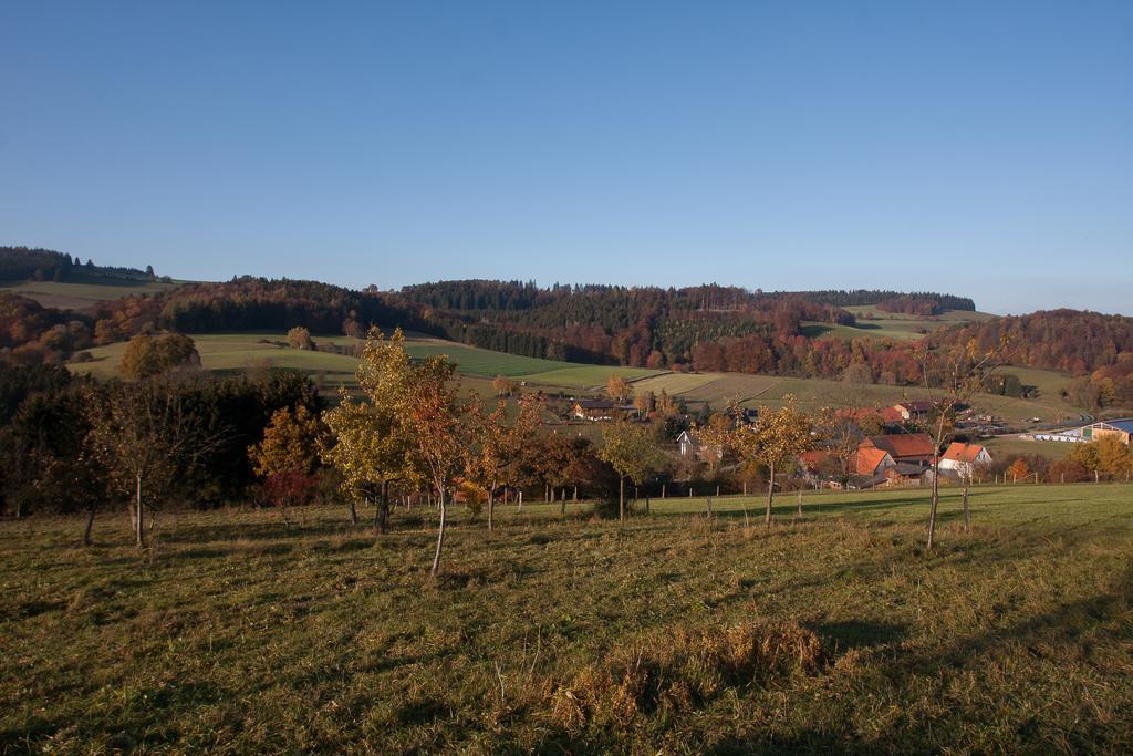 Fewo Alte Schule Willingen  Exterior foto