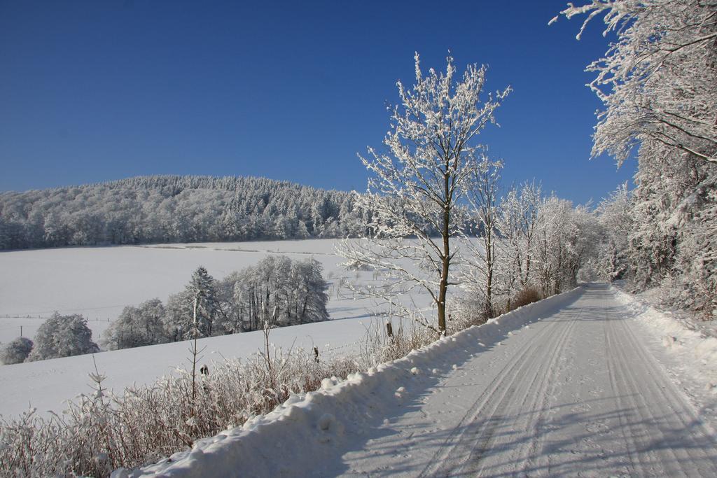 Fewo Alte Schule Willingen  Exterior foto