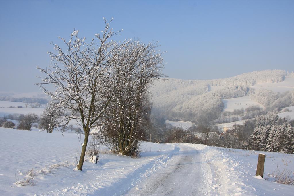 Fewo Alte Schule Willingen  Exterior foto